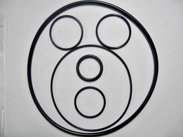 Pentair Easy Clean Complete Filter O-Ring Kit / R&S 226-447PE / FDA NSF61 Mat.
