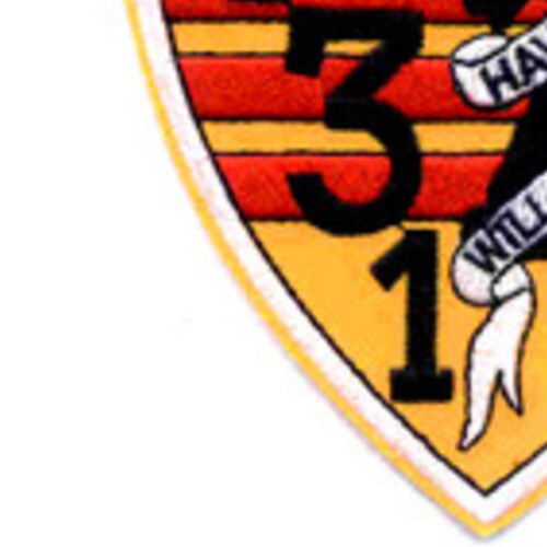 RAD 131 River Assault Division Patch