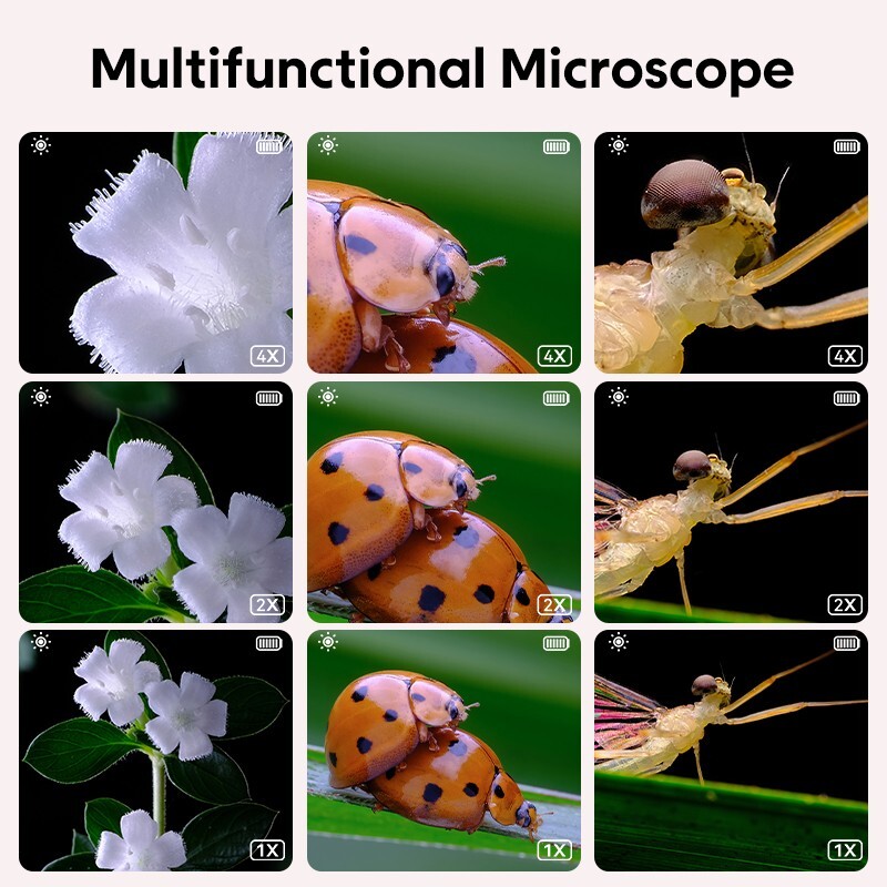 Pink Kids Optical Microscope Observe The Microscopic World Science for Children
