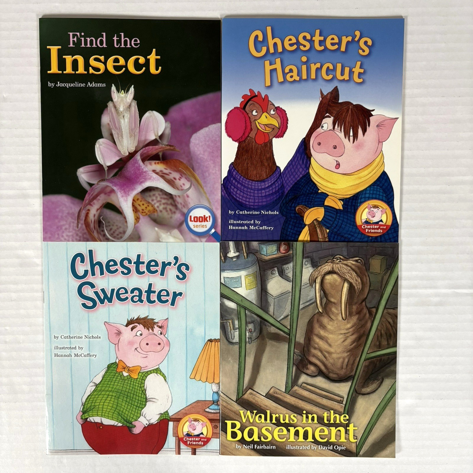 1st Grade Readers Multi-Level Reading Library #3 – 24 Homeschool Books