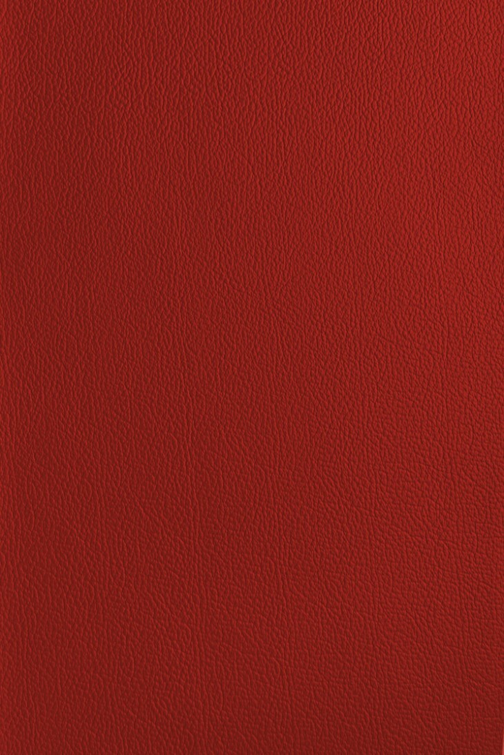 Royal Red Quality Camera Replacement Leather self-adhesive