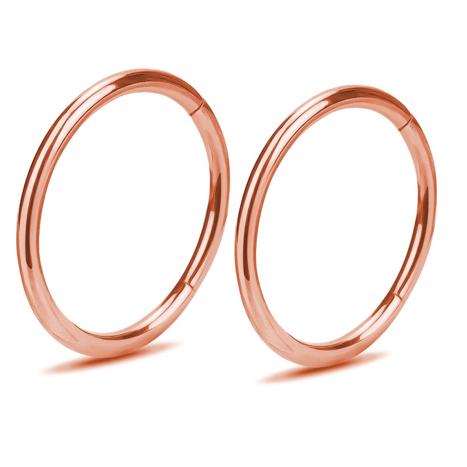 2Pcs Women Men Titanium Nose Rings Hoops 20G 18G 16G 14G 12G Hinged Nose Clic...