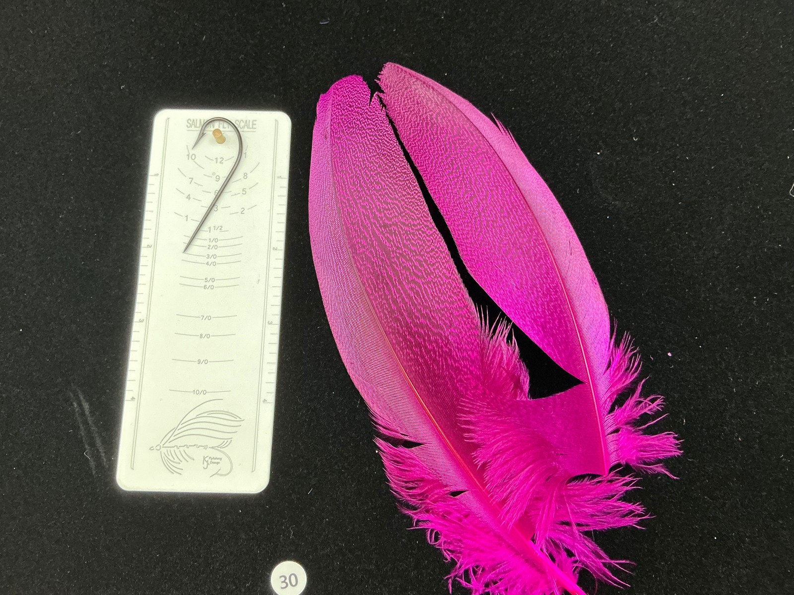 Dyed Kori Bustard feather pair 30