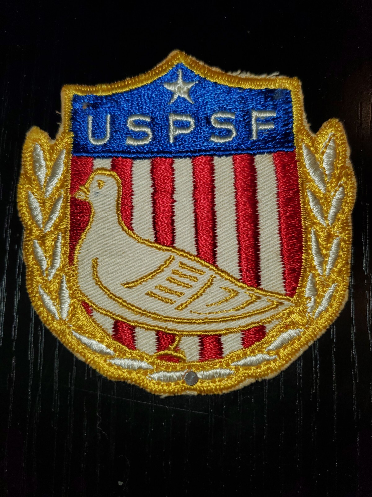 1960s USAF Air Force Vietnam USPSF Preventive Services TF Squadron Patch L@@K!!!