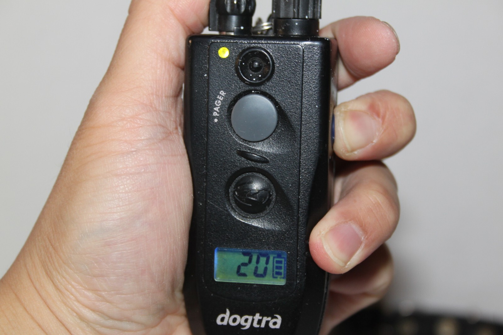 Dogtra 280NCP Platinum Remote and Collar (Please Read)