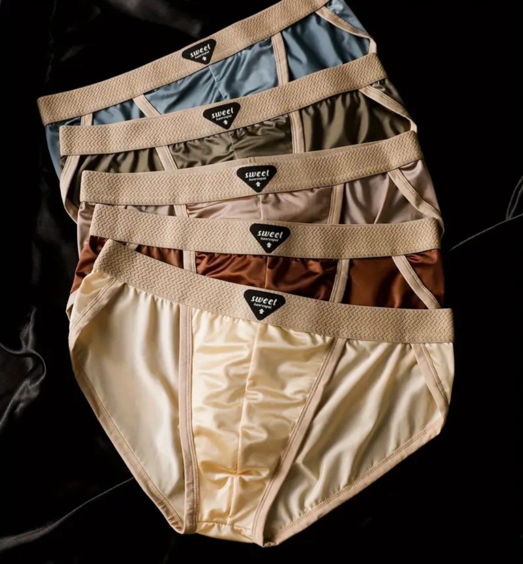 5 Pack Satin Glossy Silk Men's M L XL 2XL Stretch Nylon Low Rise Briefs Assorted