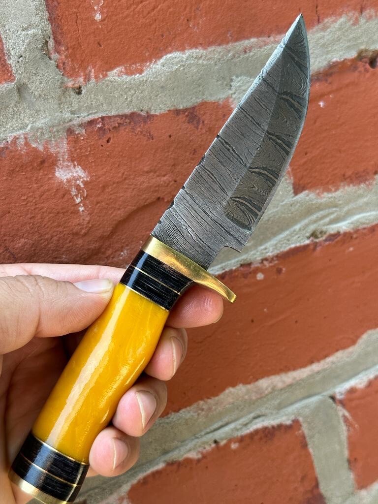 DAMASCUS Steel Fixed Blade Bowie Knife Hunting Survival Resin handle Sheath X182