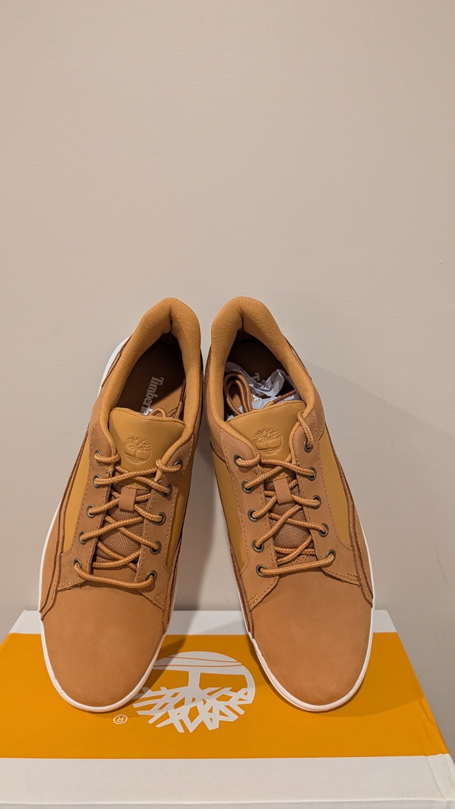 Timberland Men's Allston Low Lace-Up Sneaker NIB