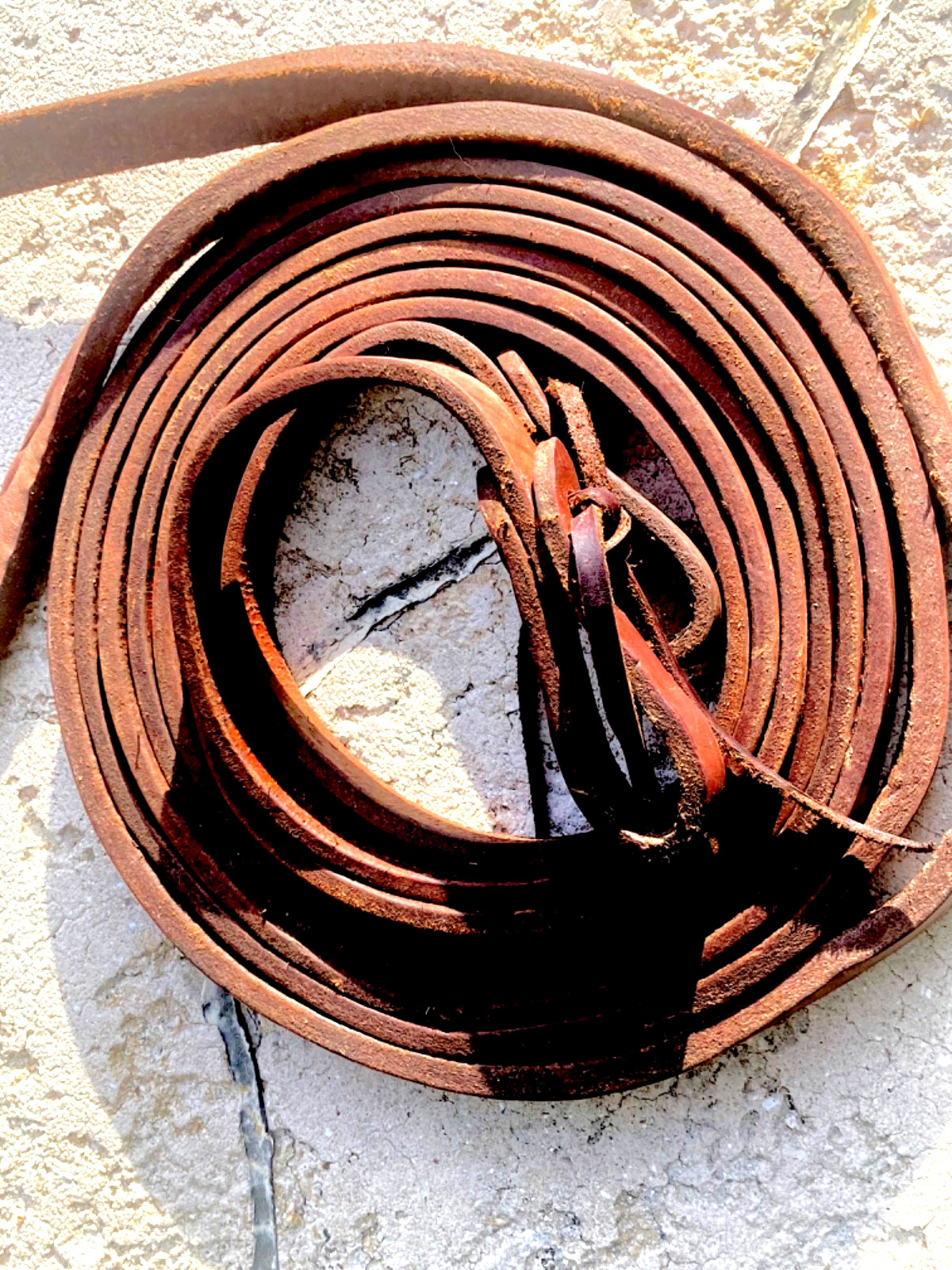 BUCKAROO LEATHER PRODUCTS BROWN SPLIT REINS 9' x 3/4"