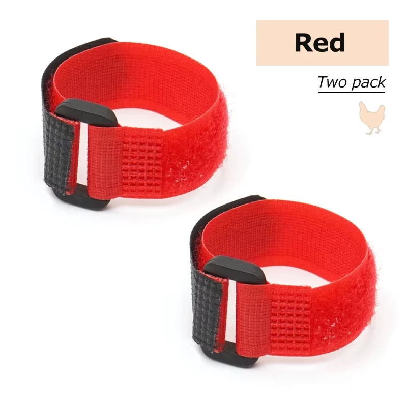 2Pcs No Crow Rooster Collar Chicken Collar Noise Free Anti-Hook Neckband Poultry