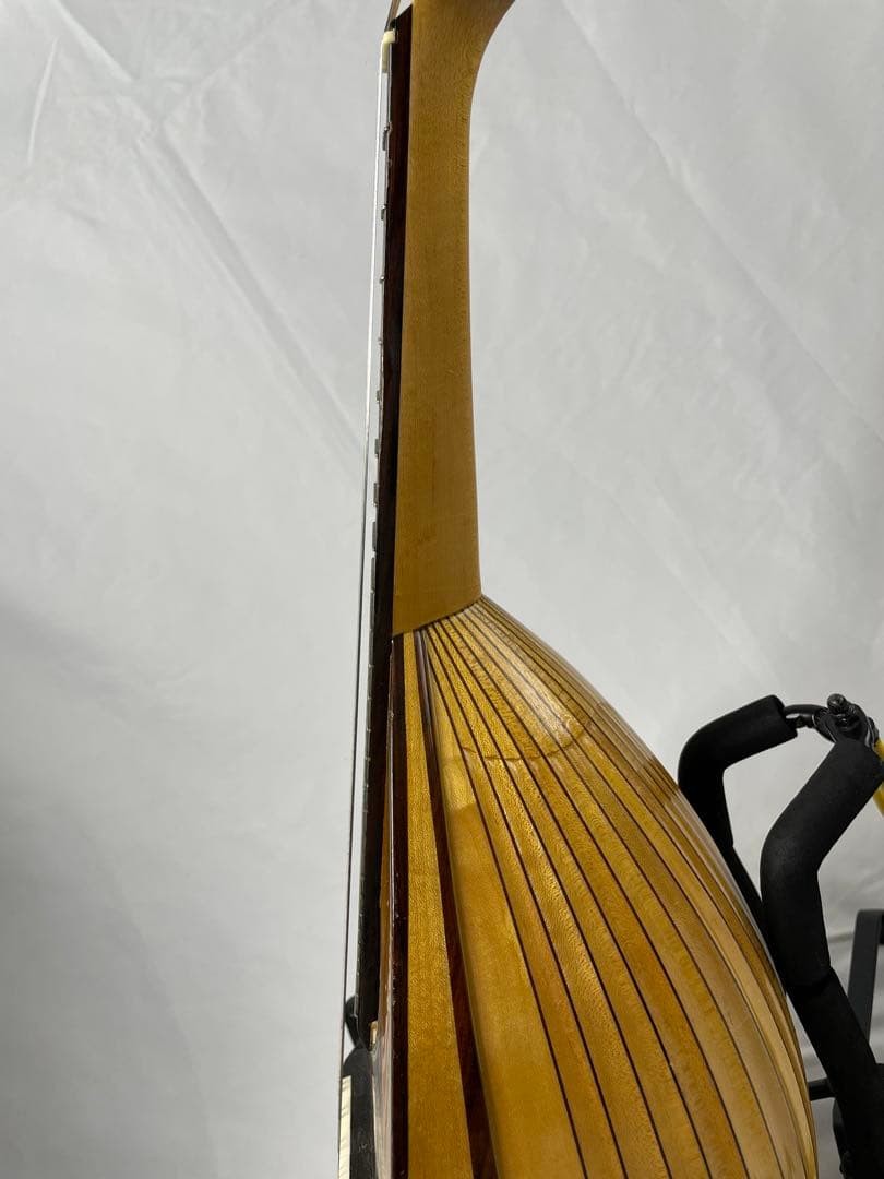 SUZUKI/Suzuki Classic Mandolin M-100