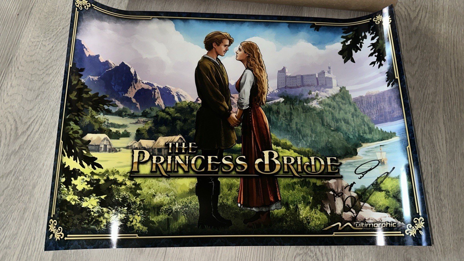 The Princess Bride Pinball Translite Signed Autographed Cary Elwes Mutlimorphic