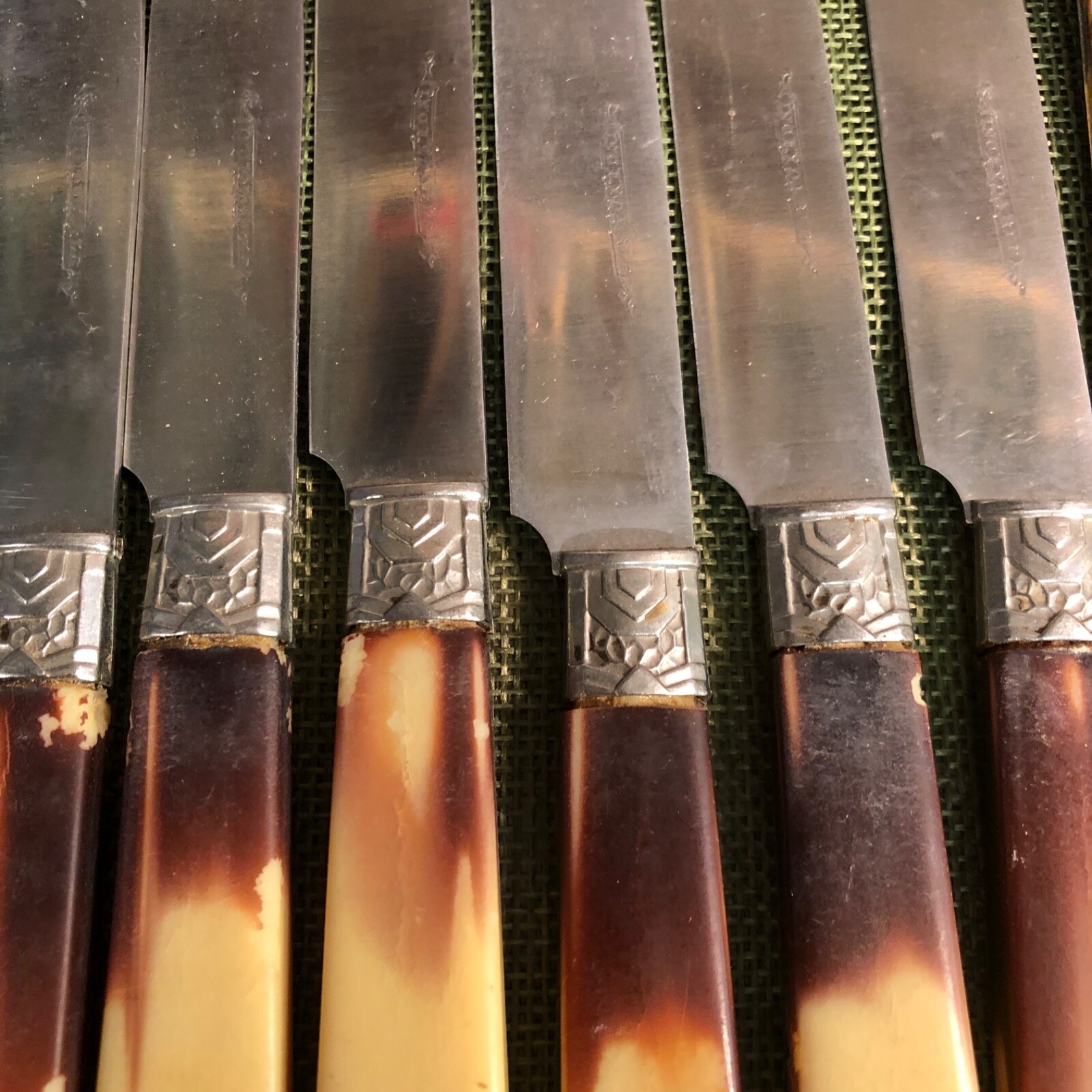 6-Inoxydable  knives with celluloid handle(587)