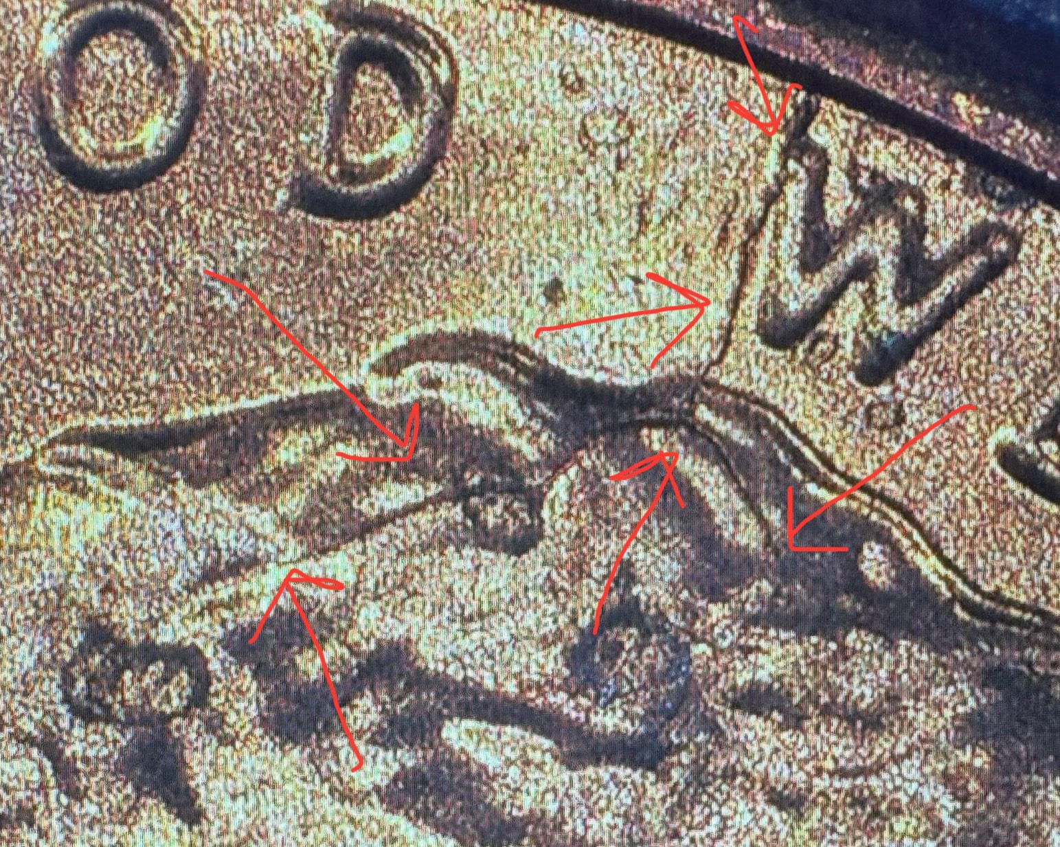 2021 P Lincoln Shield w/Large Die Crack OBV left of “WE” & Forks Through Skull!