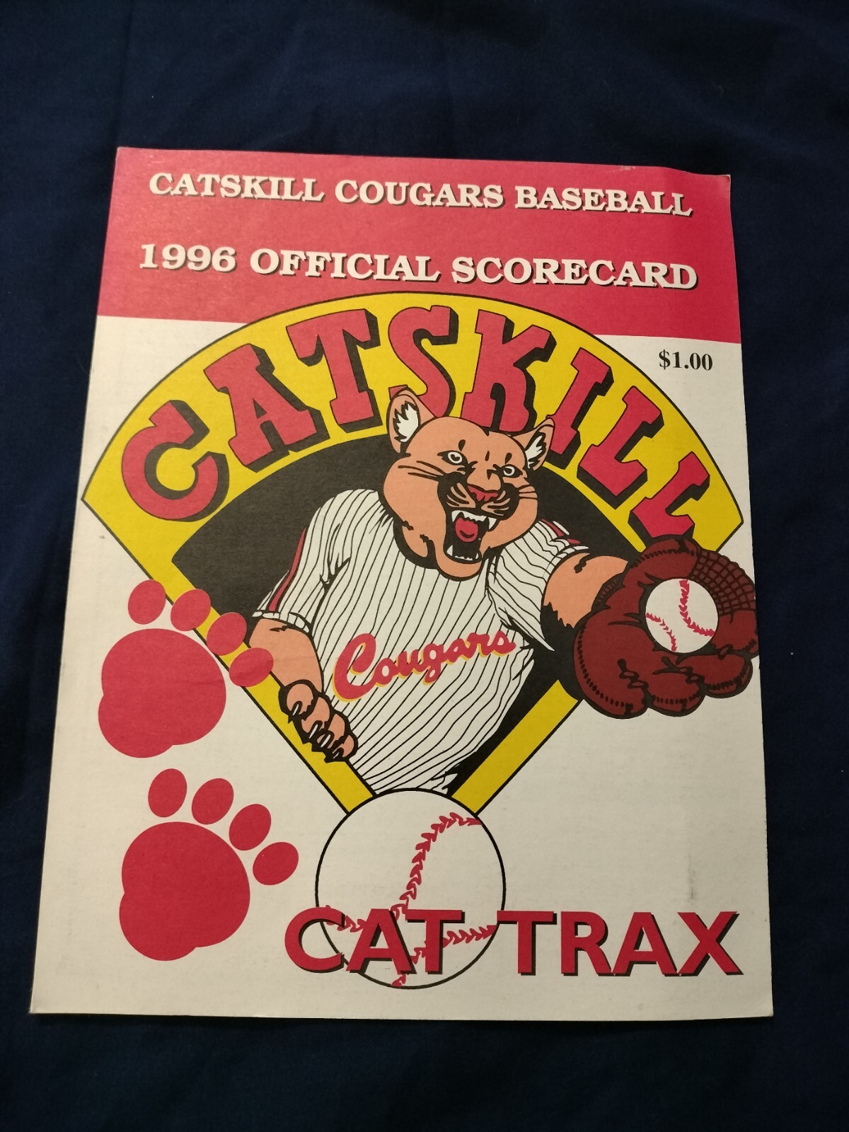1996 Catskill Cougars Baseball Official Scorecard Mountaindale NY  Bill Murray