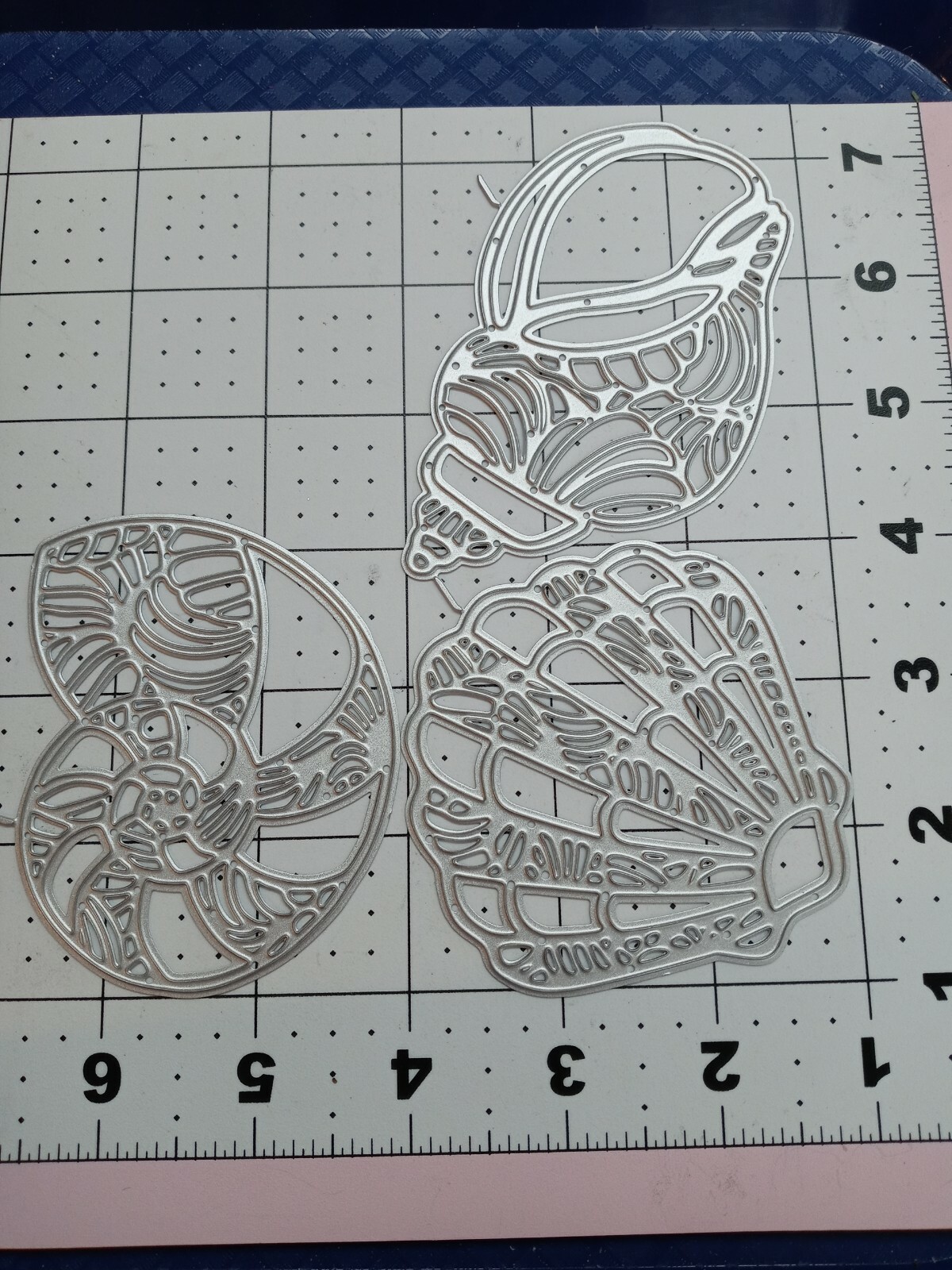 Thin Metal Die Cut Tool Emboss Ocean Vacation Nautilus Shell Conch Scallop Beach