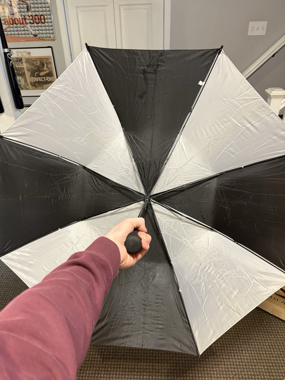 Compact Black and White Umbrella