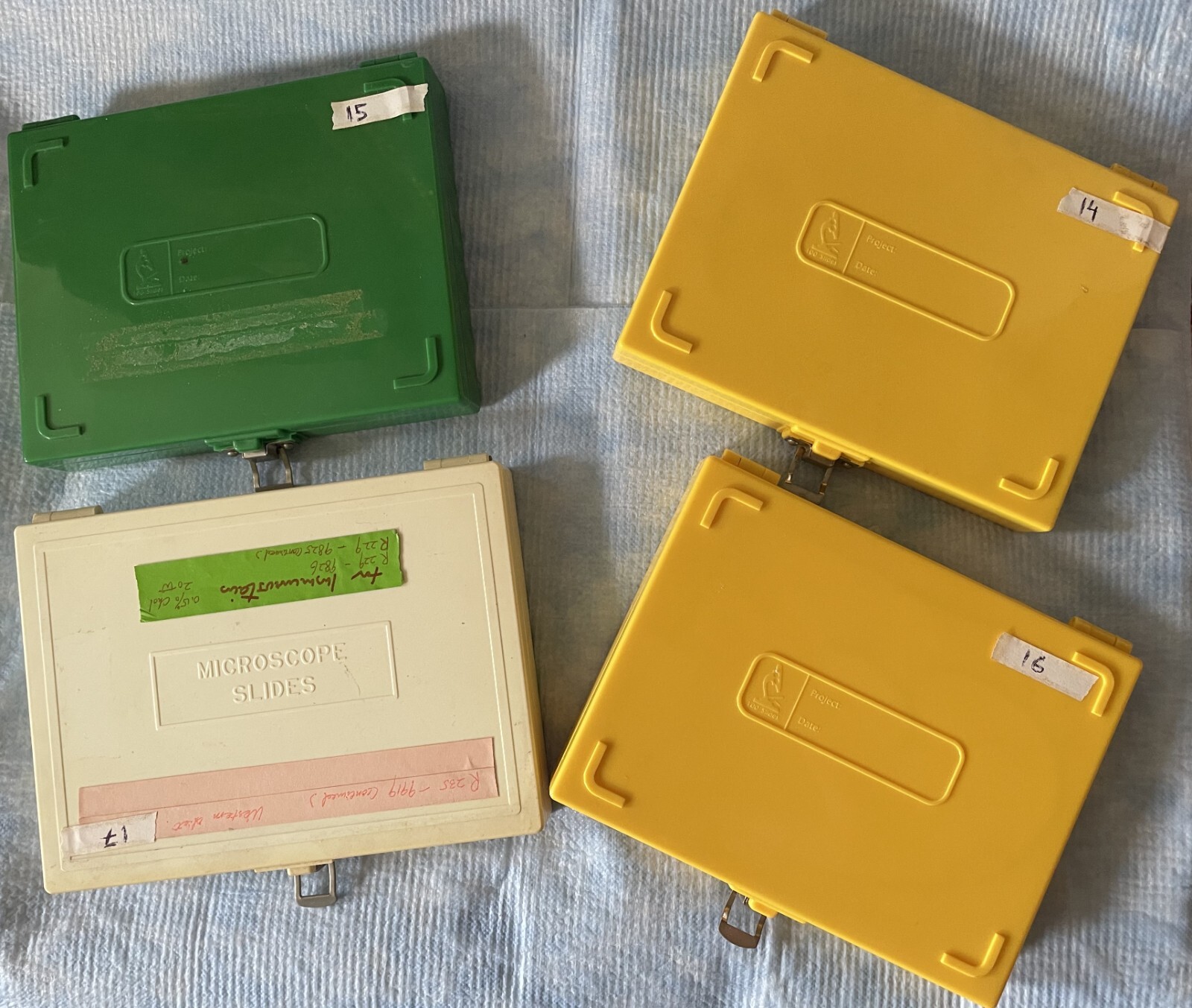 Four Microscope storage boxes with mouse tissues slides, 14,15,16,17