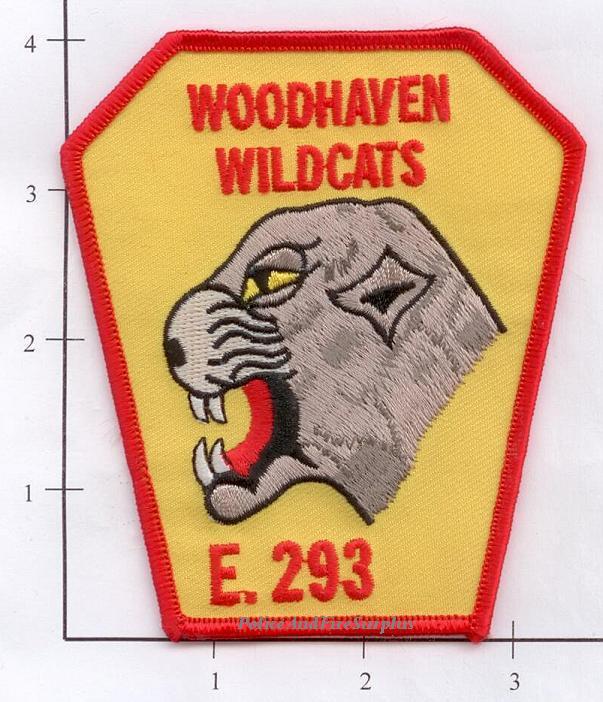 New York City NY Fire Dept Engine 293 Patch v2