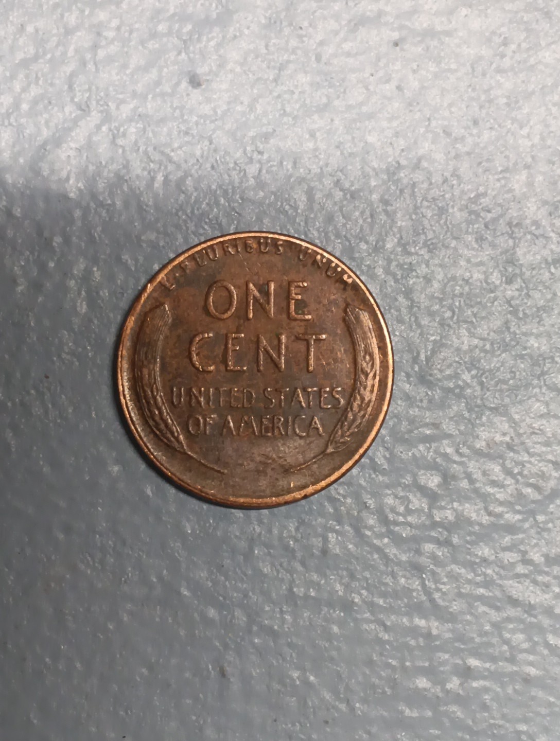 1955 penny no mint mark With Error