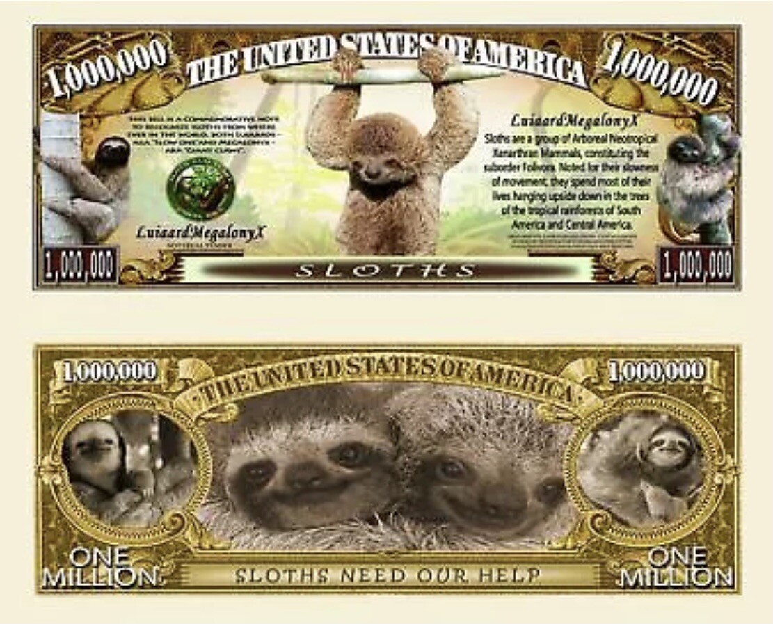 Pack of 10 Sloths Are Our Friends 1 Million Dollars Animal Awareness Money