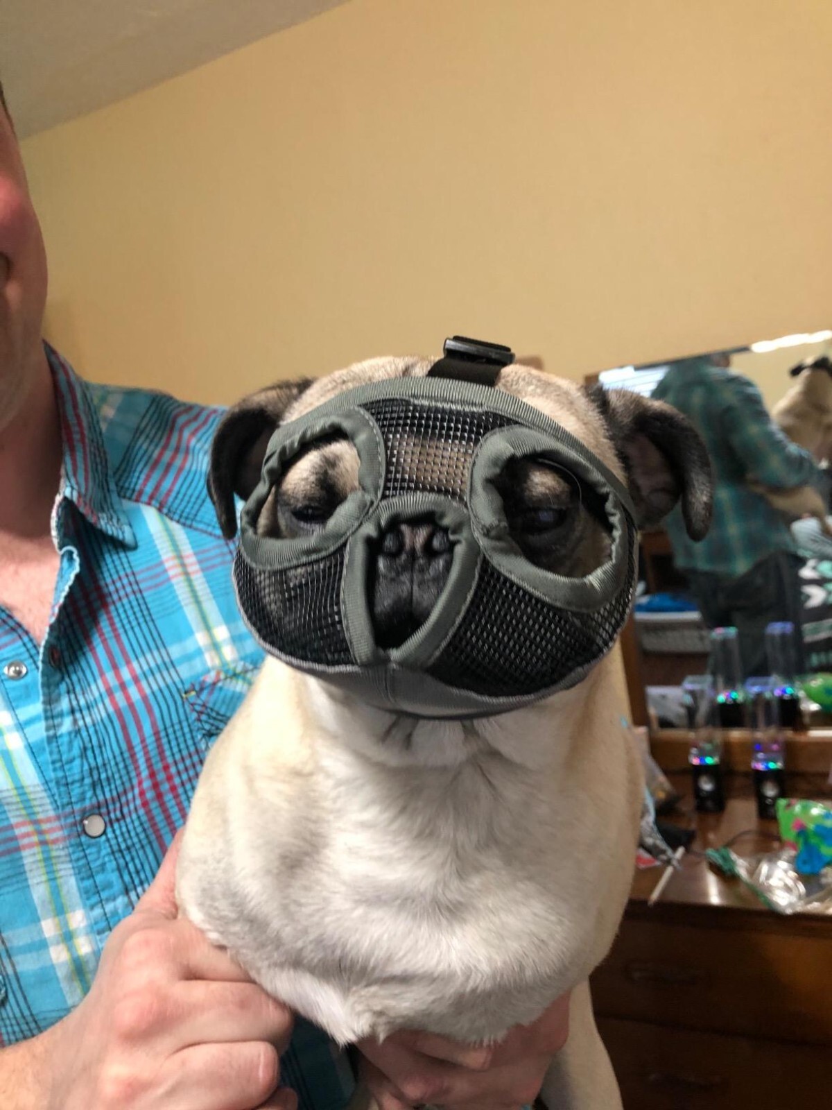 JYHY Short Snout Dog Muzzles- Adjustable Breathable Mesh Bulldog Muzzle