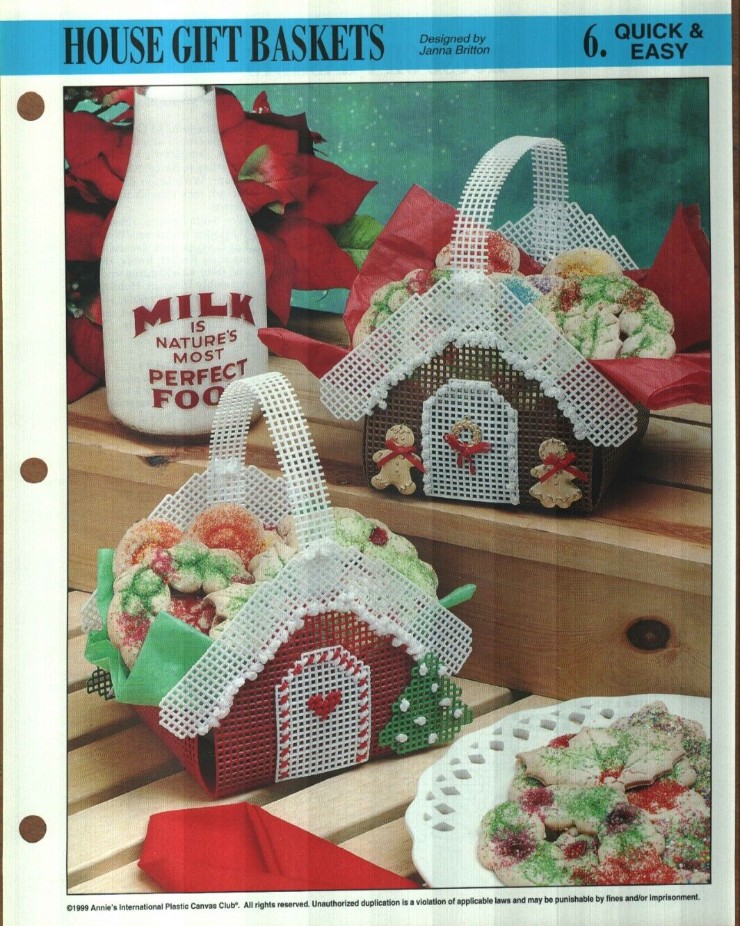 NEW HOUSE GIFT BASKETS CHRISTMAS ANNIE'S PLASTIC CANVAS PATTERN INSTRUCTIONS HTF