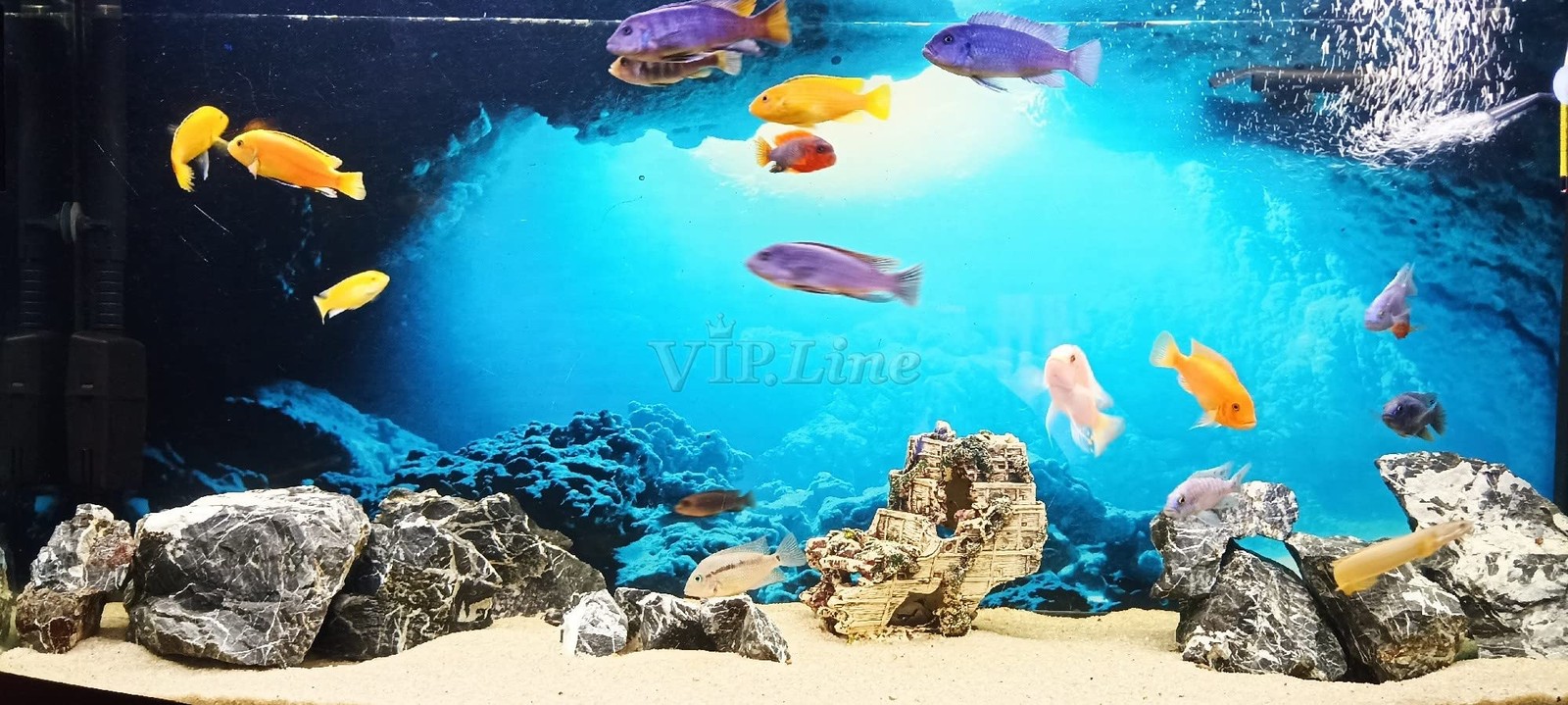 Generic Aquarium Background Poster Under Water Cave Sunlight Fish Tank Backdrop