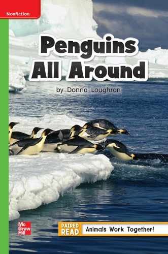 Reading Wonders Leveled Reader Penguins All Around: - Spiral-bound - Very Good