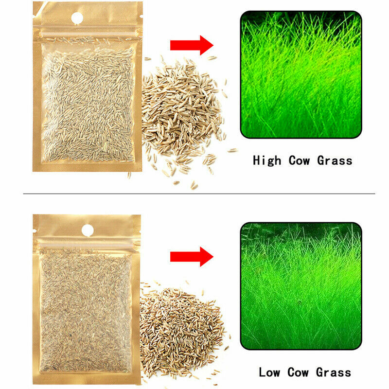 Aquarium Grass Seeds (Small Cow Hair Grass) Aquarium plant USA