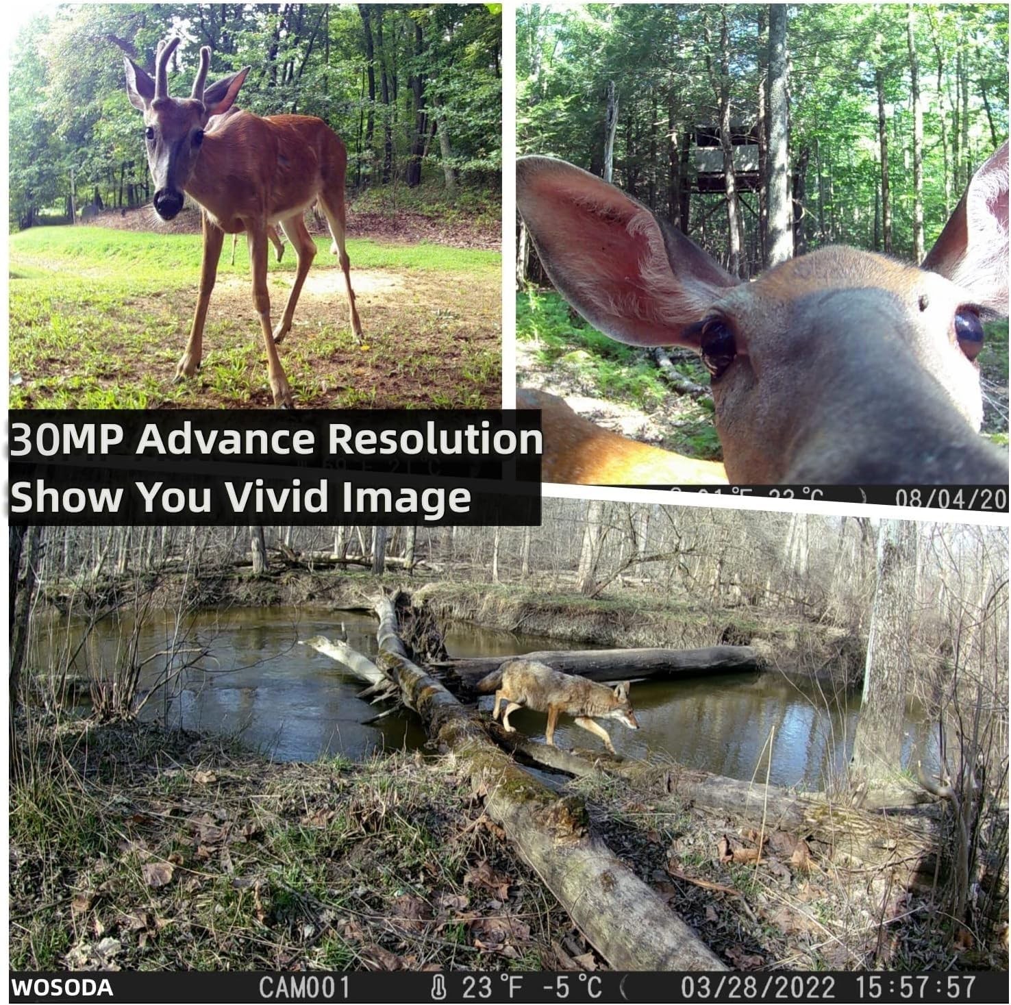 WOSODA 2 Pack Trail Camera with Night Vision Motion Activated Waterproof,30MP...