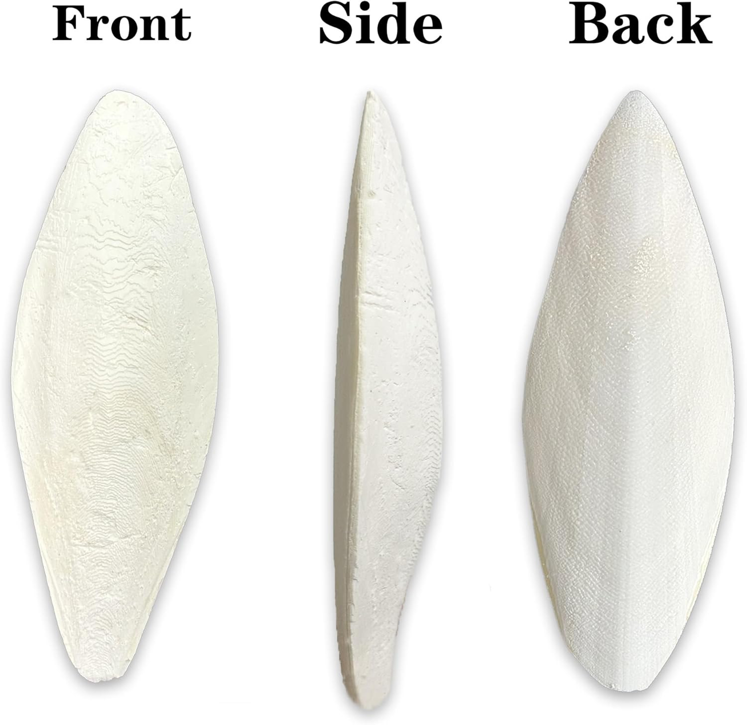 Bird Cuttlebone for Parakeets Cuttlebone for Birds - Natural Cuttlefish Bone Bul