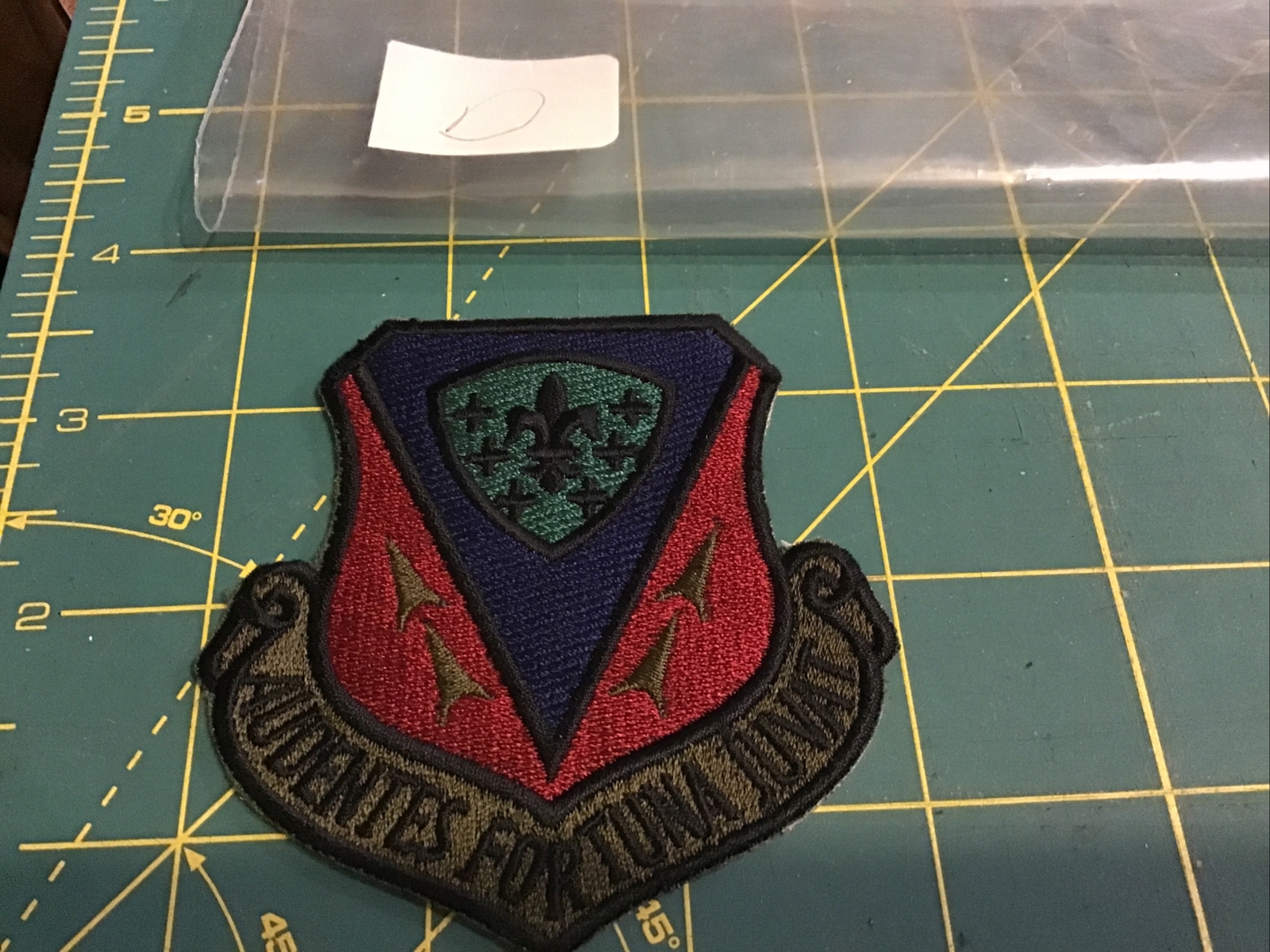 US Air Force 366th Tactical Fighter Wing AUDENTES FORTUNA JUVAT Patch dark