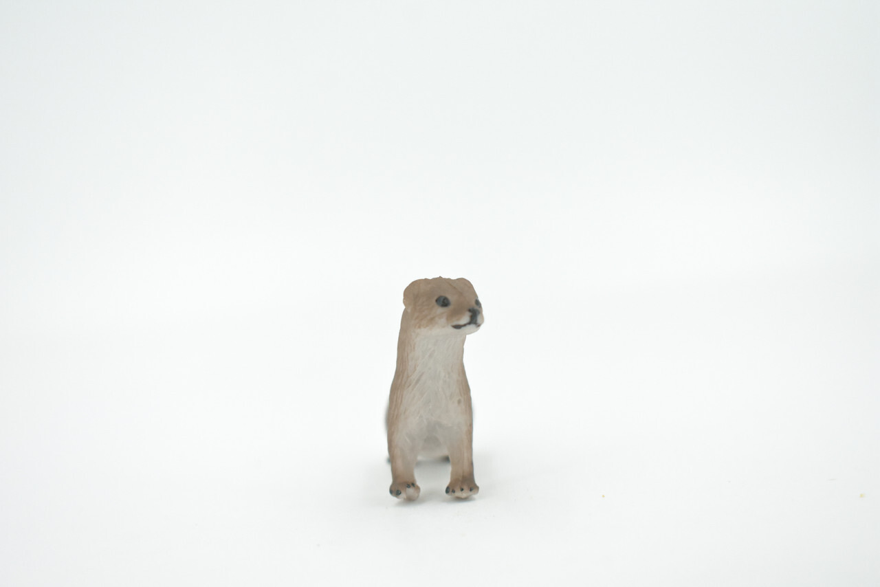 Fisher, Weasel Toy Animal, Realistic, Figure, Model, Toy, Gift, 3" CH534 BB159