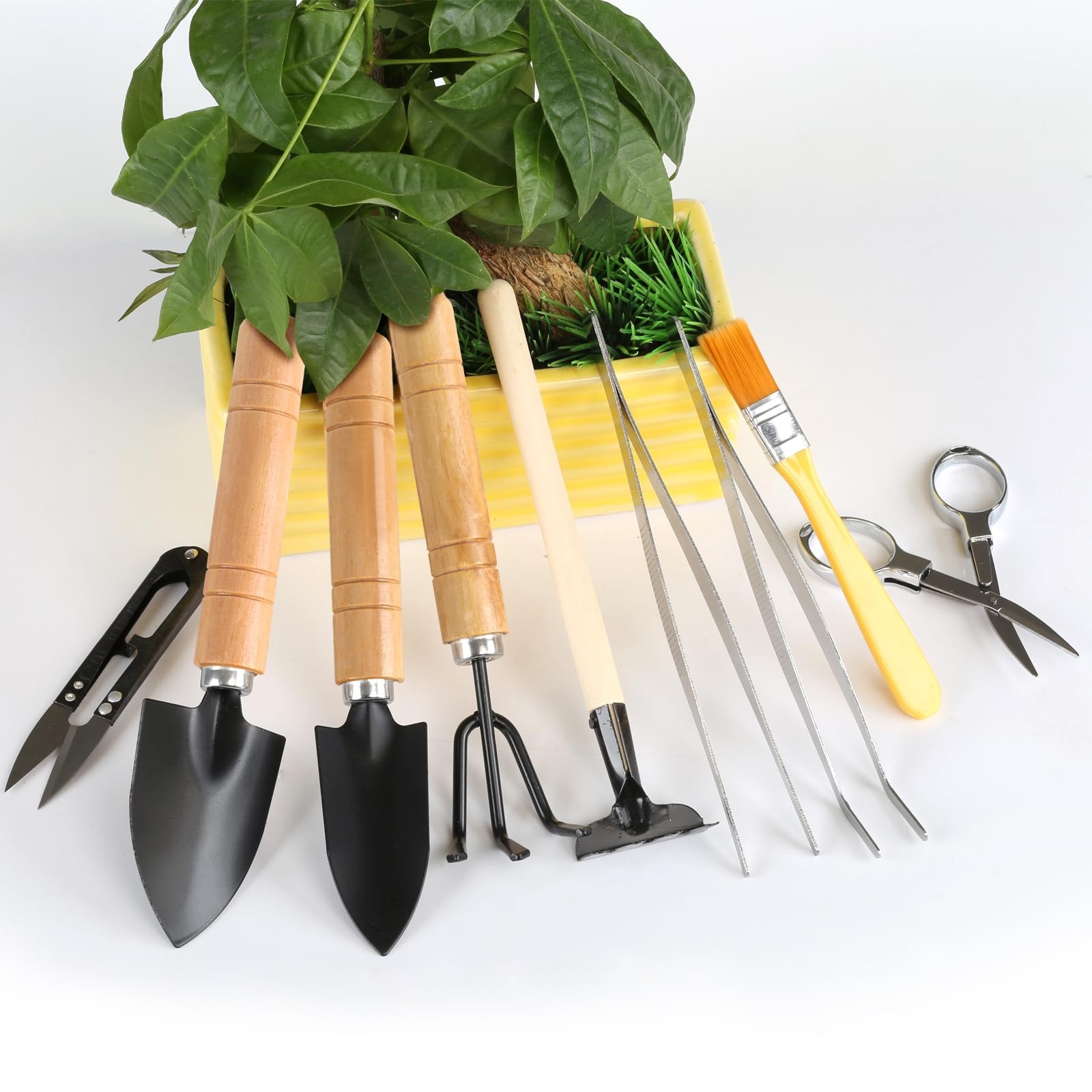 9PCS Basic Bonsai Tools Set, Tree Kit Mini Garden black, brown