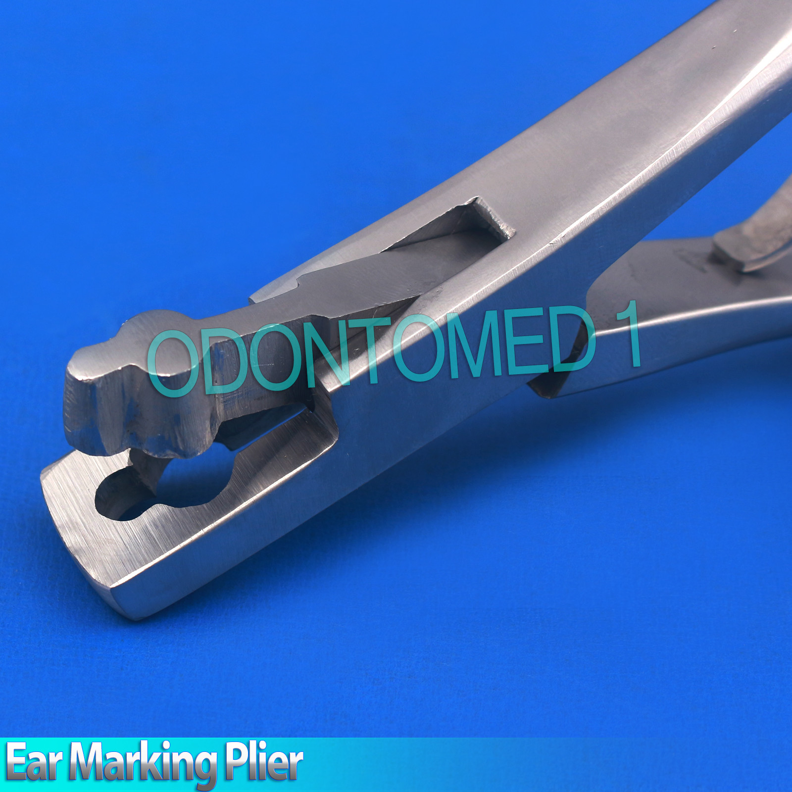 Ear Marking Plier Club Type Veterinary Instruments New