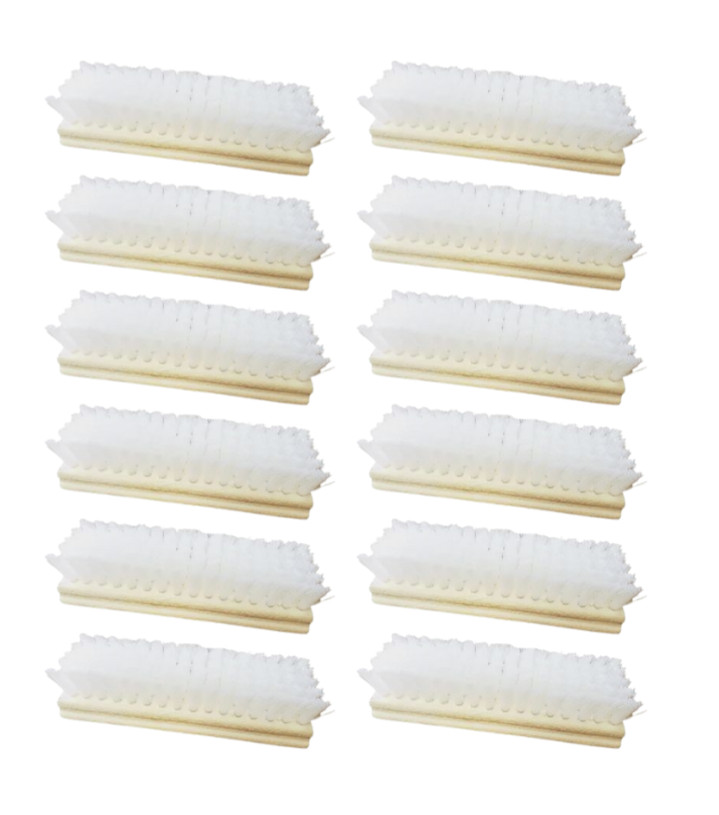Magnolia Brush - Oblong Scrub Brush - Poly- Case (12 Brushes)
