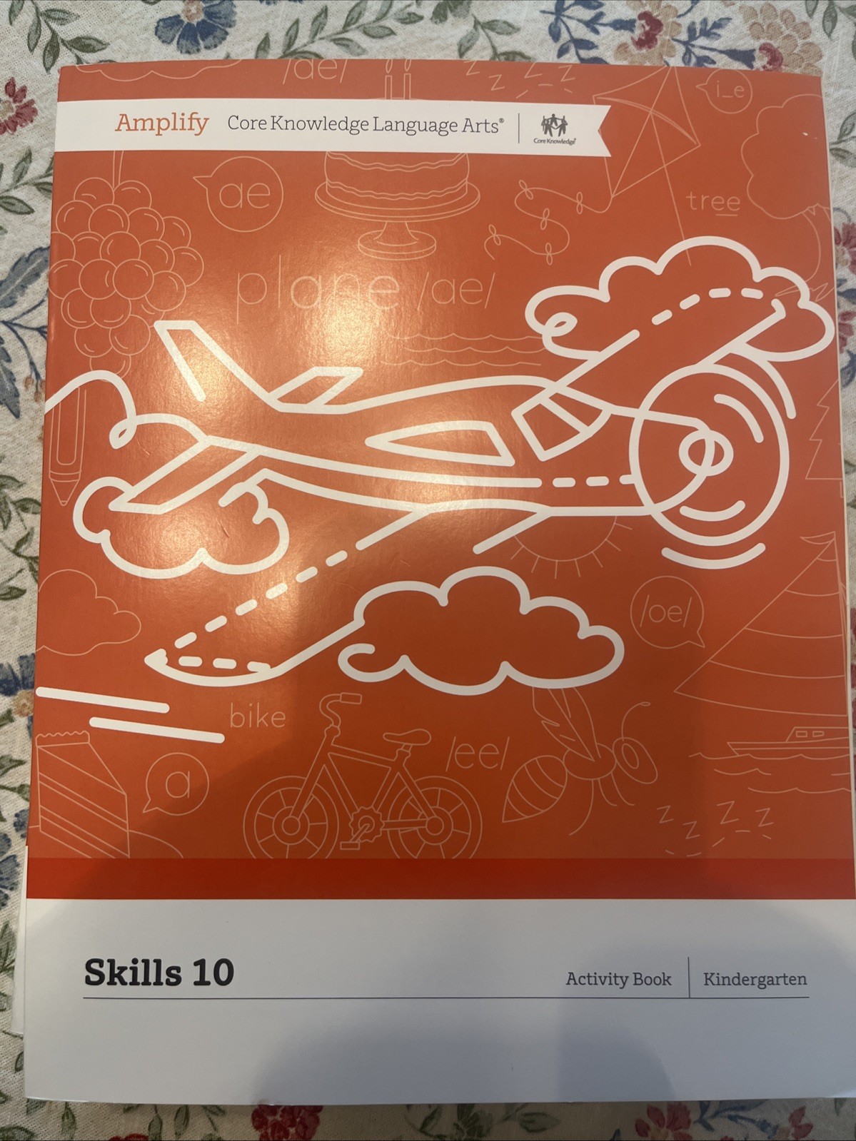 Amplify CKLA Skills 10 Activity Book Kindergarten Homeschool Intervention