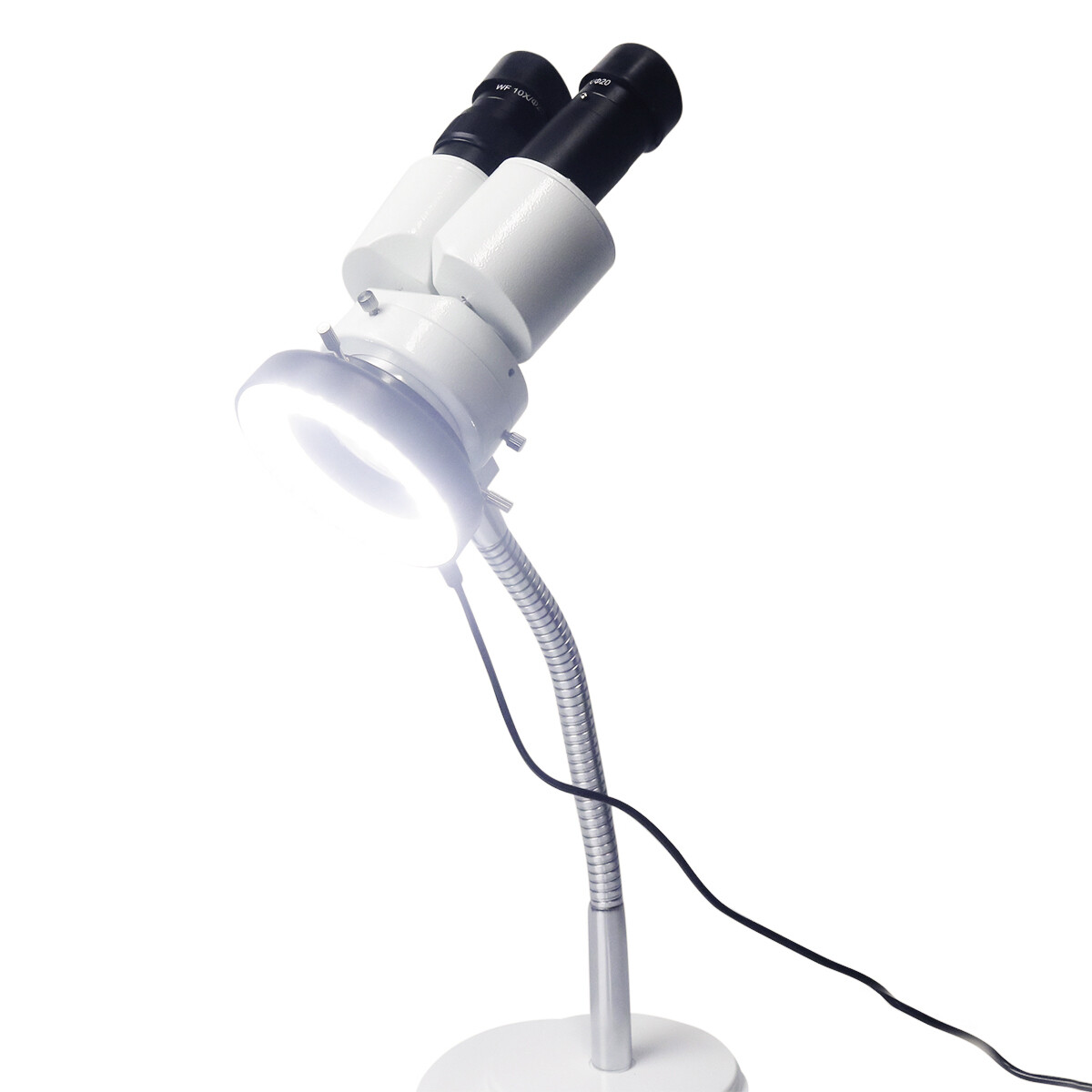 10X Magnification Dental Binocular Microscope Rotatable with LED for Dentists US