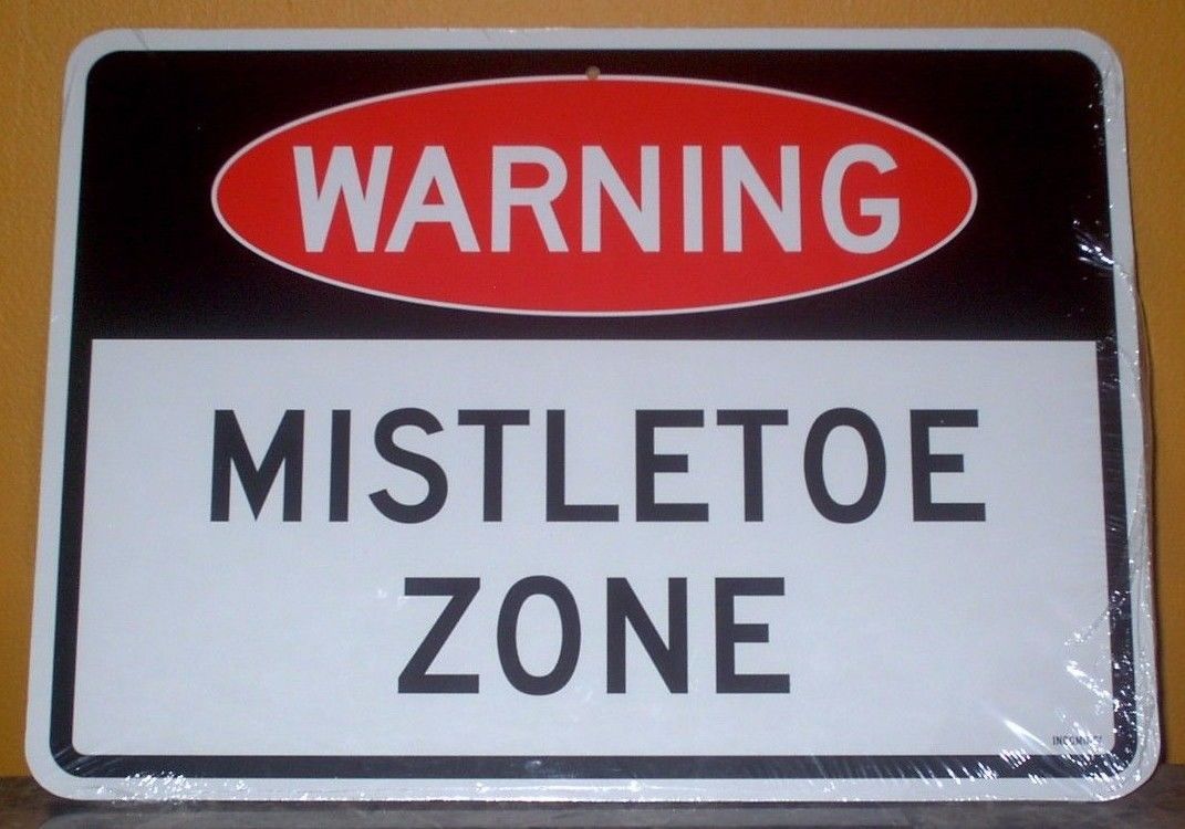 Street Wise two sided signs Christmas New Sealed! Free USA Shipping!