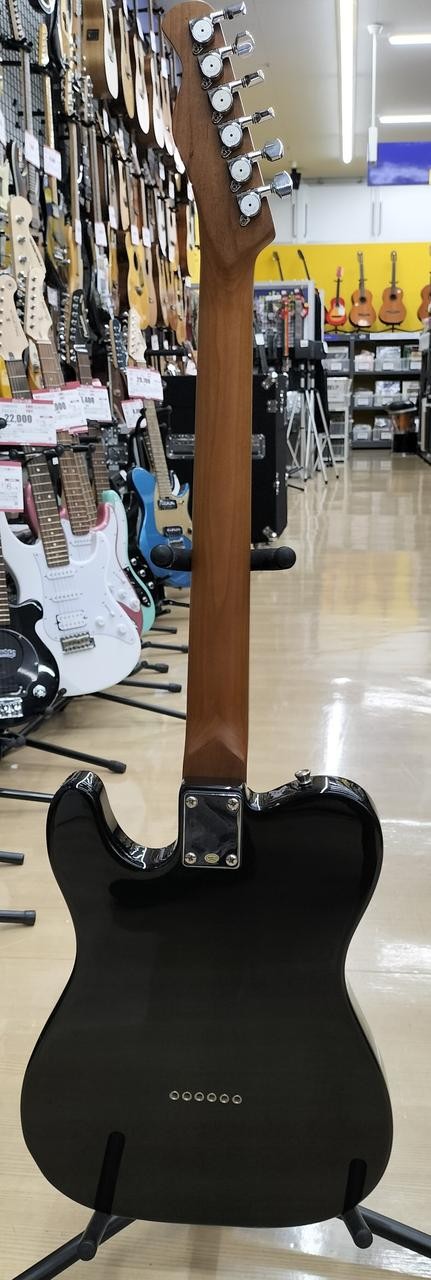 BACCHUS TACTICS-STD RSM Telecaster type