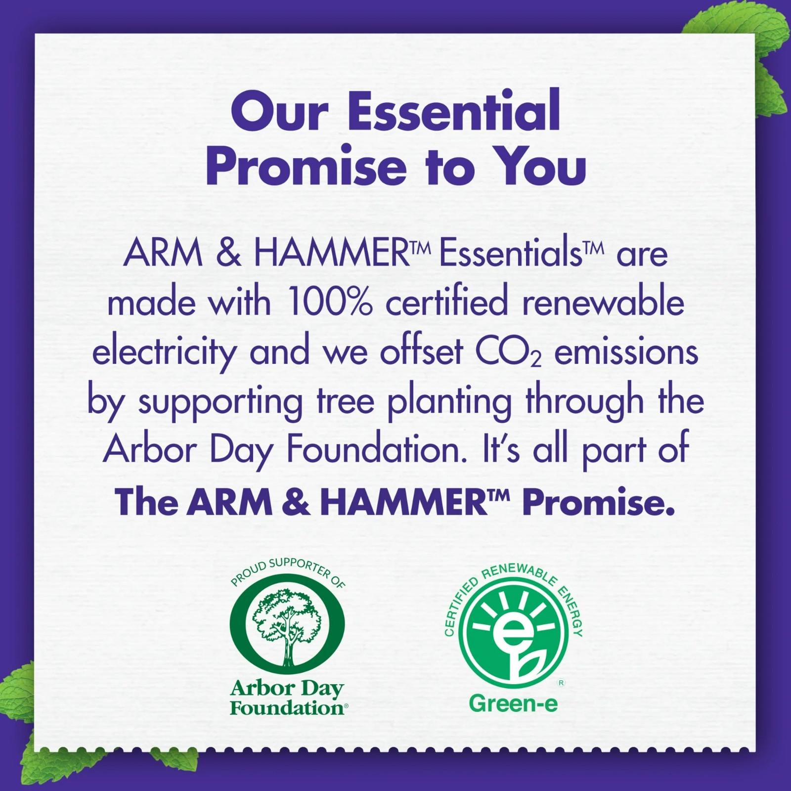 ARM & HAMMER Essentials Toothpaste, 4.3oz 4pk, Fluoride-Free, Clean Mint