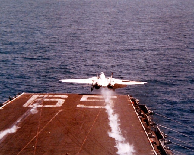US Navy Grumman F-14 Tomcat "Wolfpack" USS Enterprise 8x10 Vietnam War Photo 784