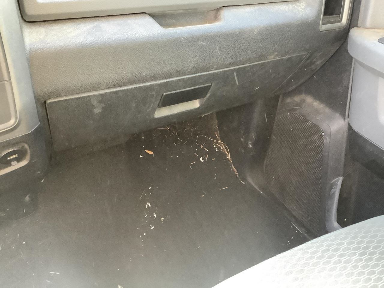 TDODR1500 2013 Glove Box 4989386