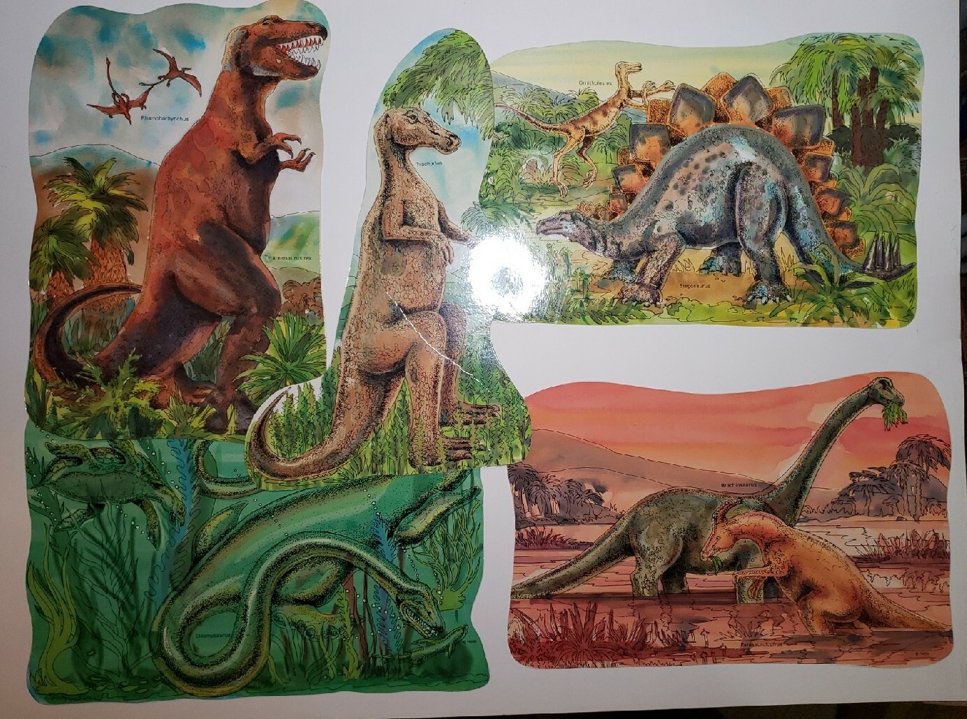 VTG School Dinosoar Classroom Discovery Posters set of 5  Teachers Aid Science