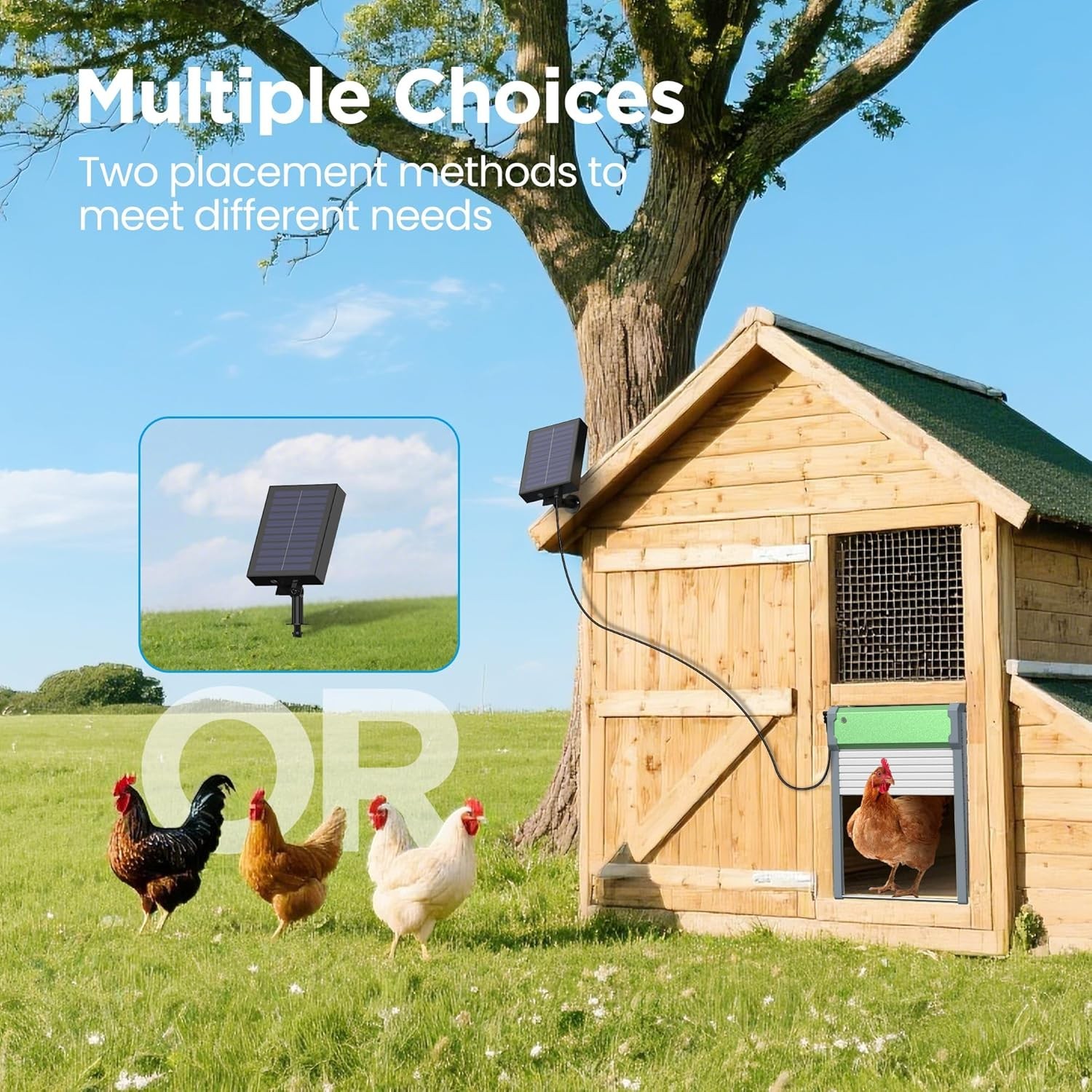 Automatic Chicken Coop Door Solar: Automatic Chicken Door - Solar Powered Chicke