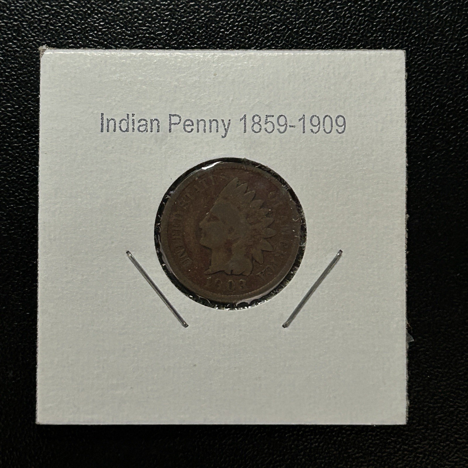 1903 Indian Head Penny Brown Lightly Circulated
