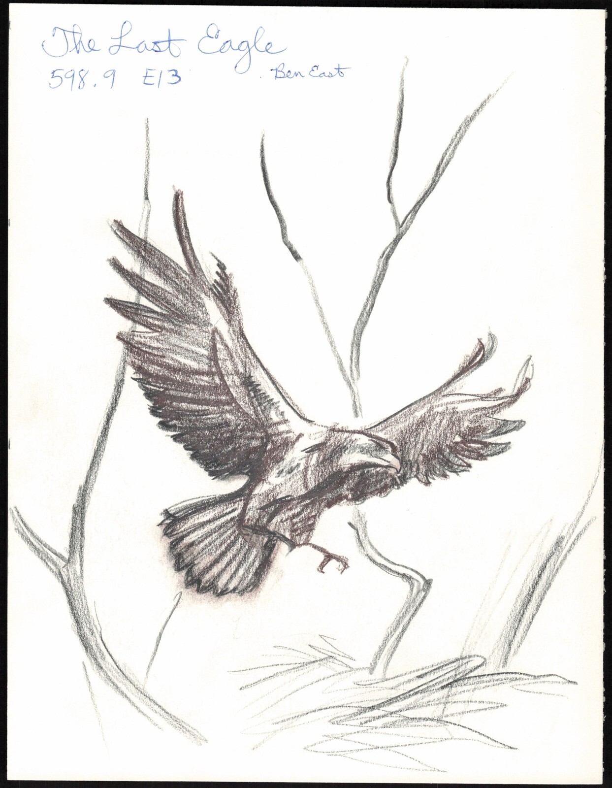 Craig Kemplin Original Sketch Drawing Art The Last Eagle Ben East 8.5 x 10 AA29
