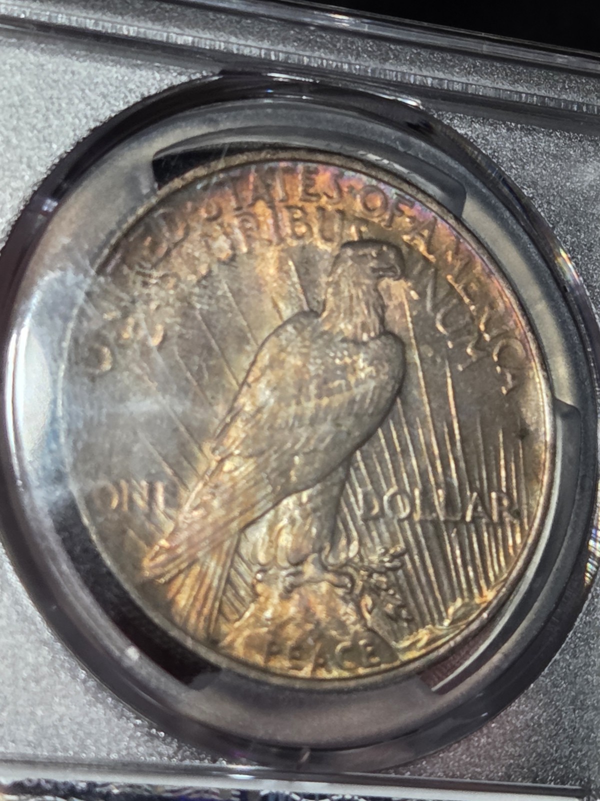 1924 $1 Peace Dollar PCGS MS64 Toned