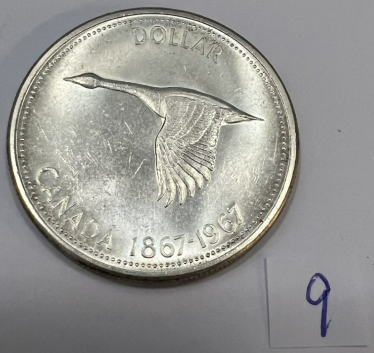 1967 Canada Goose Silver Dollar BU Gorgeous 80% Pure Silver